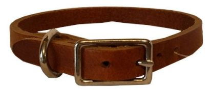 Collier de Cuir pour chien, Buffalo Brun