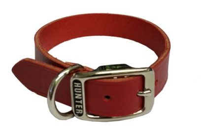 Collier de Cuir Rouge Riveté pour chien Hunter