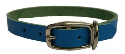 Collier de Cuir Bleu Riveté pour chien