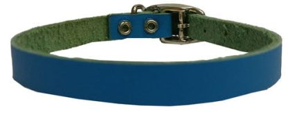 Collier de Cuir Bleu Riveté pour chien