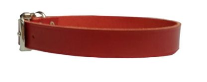 Collier de Cuir Rouge Riveté pour chien Hunter