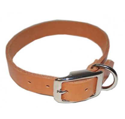 Collier de Cuir Tan Riveté pour chien