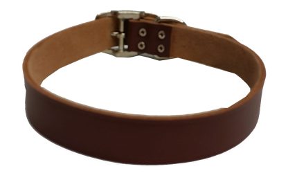 Collier de Cuir Brun Riveté pour chien