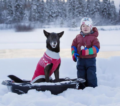 Tricot Highland Sweater pour chien, Rc Pets