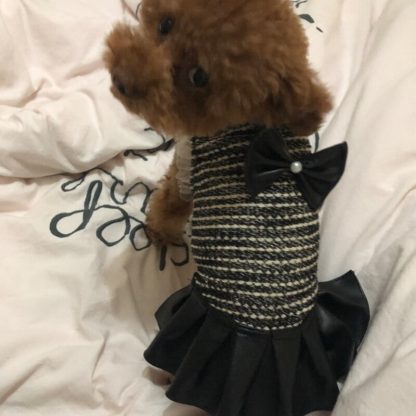 Robe de cuirette pour chien