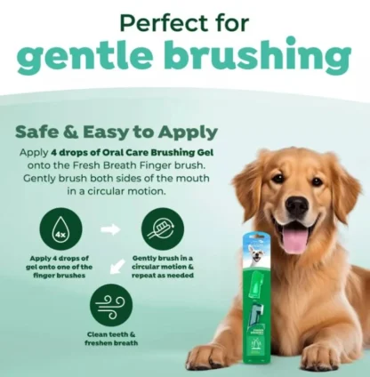 entretien-dentaire-pour-chien-chien-brosse-fresh-breath-tropiclean